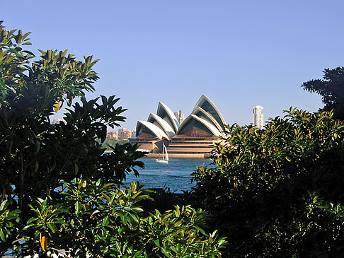 Foto Stadt - Sydney