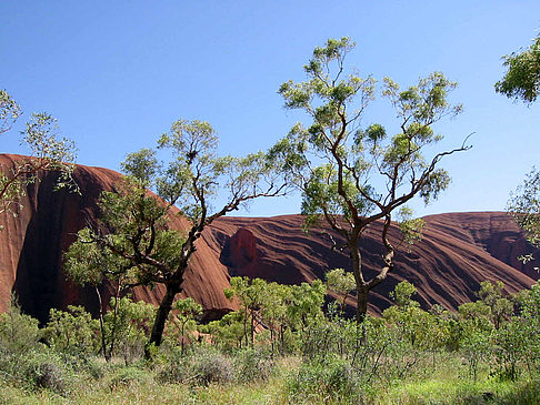 Fotos Kata Tjuta und Uluru | 