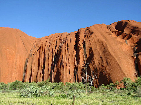 Kata Tjuta und Uluru Foto 