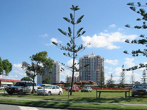 Foto Surfer's Paradise - Surfers Paradise