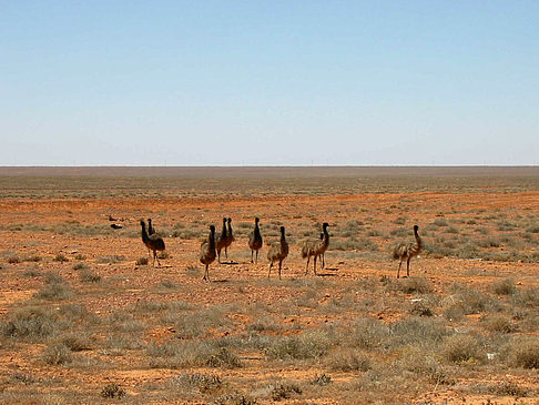 Coober Pedy Fotos